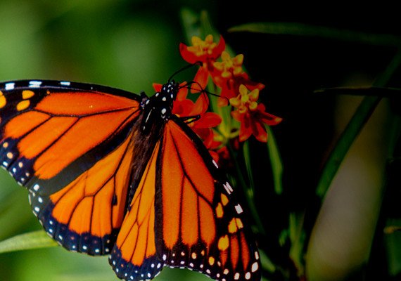 Specialized stock image and product Photography.