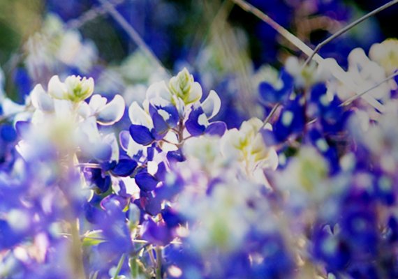  Specialized stock image and product Photography.